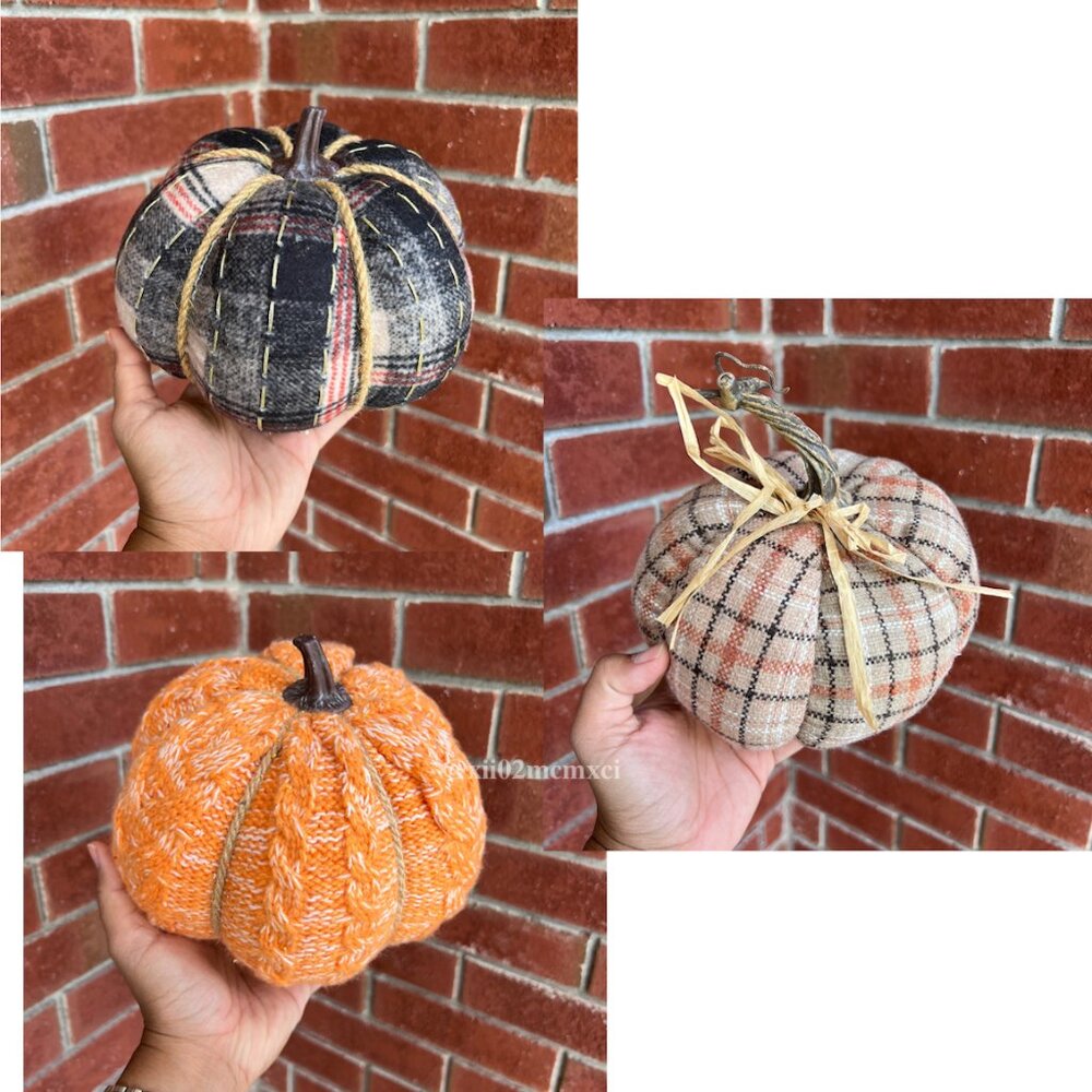 BULLSEYE PLAYGROUND PUMPKINS 3CT